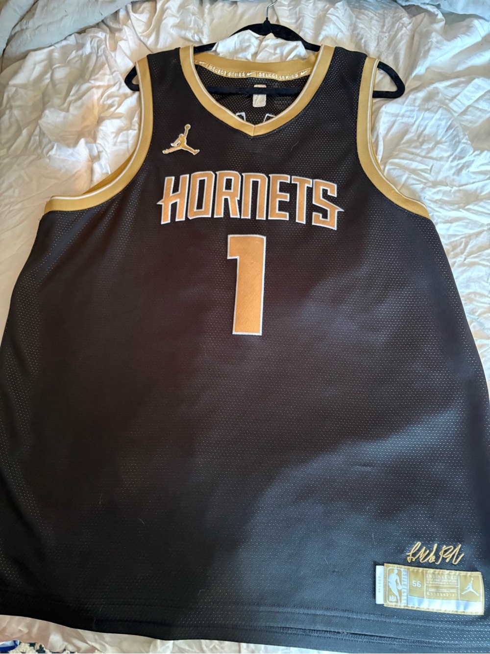 NBA Charlotte Hornets Jordan Select Series Swingman Jersey - Lamelo Ball - Mens
